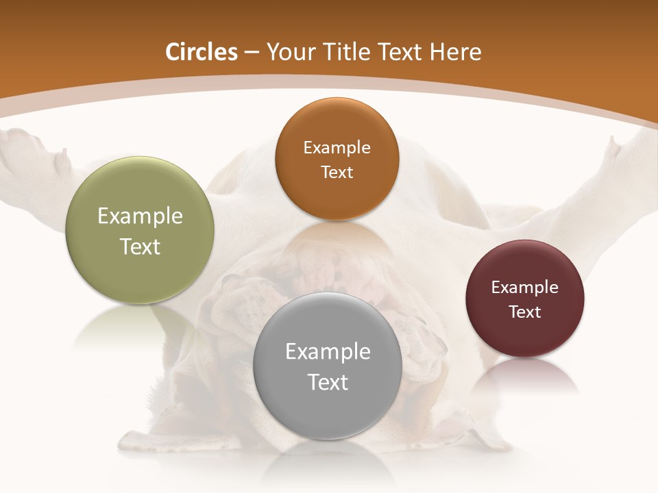 Months Looking Mammal PowerPoint Template