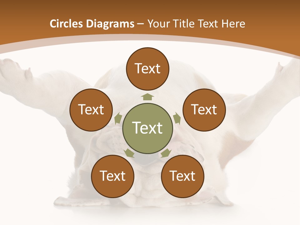 Months Looking Mammal PowerPoint Template