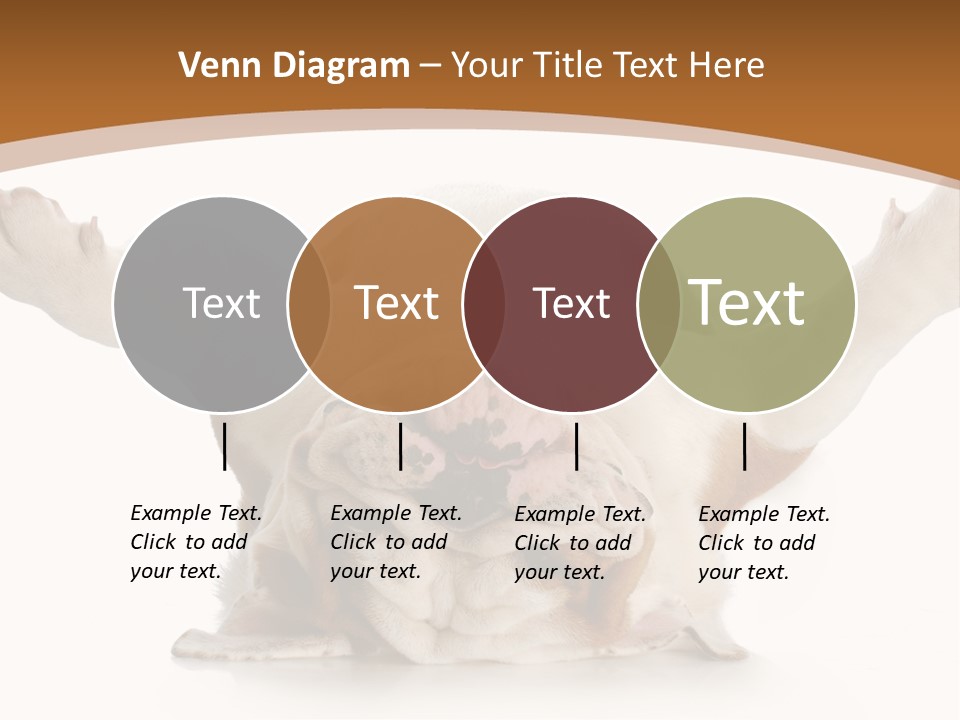 Months Looking Mammal PowerPoint Template