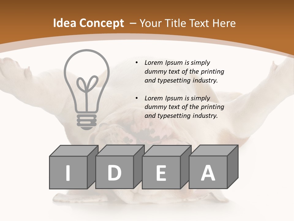 Months Looking Mammal PowerPoint Template