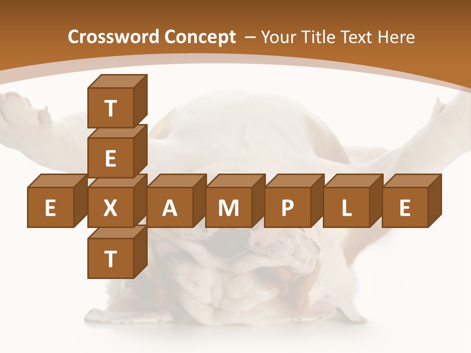Months Looking Mammal PowerPoint Template