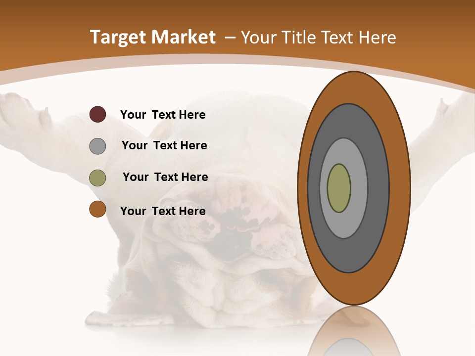 Months Looking Mammal PowerPoint Template