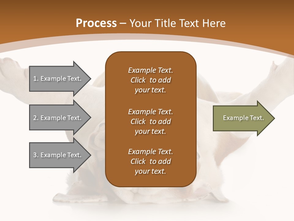 Months Looking Mammal PowerPoint Template