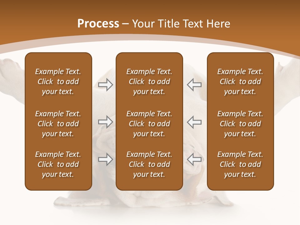 Months Looking Mammal PowerPoint Template