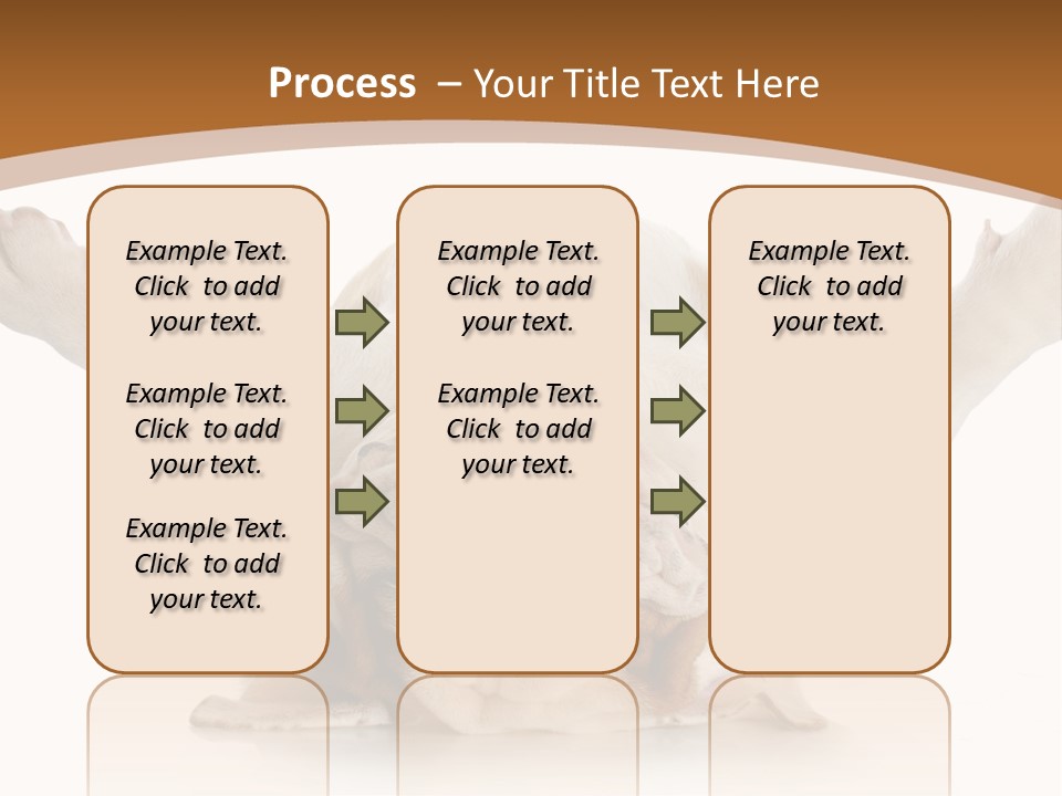 Months Looking Mammal PowerPoint Template