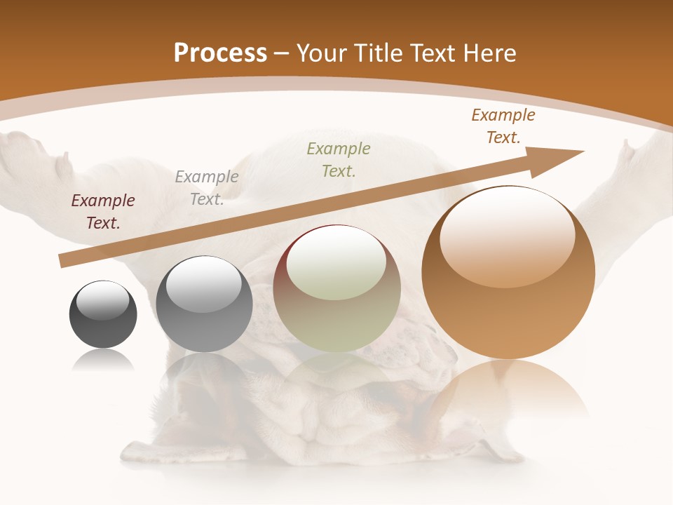 Months Looking Mammal PowerPoint Template