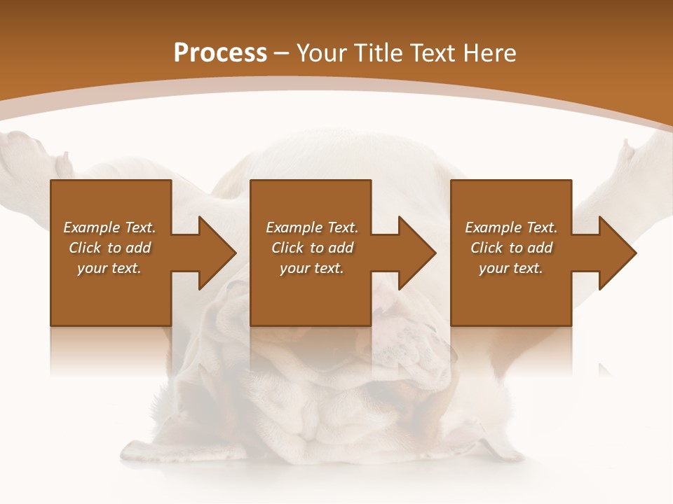 Months Looking Mammal PowerPoint Template