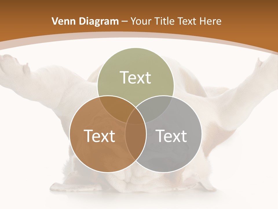 Months Looking Mammal PowerPoint Template