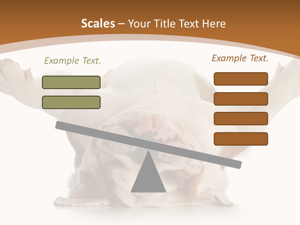 Months Looking Mammal PowerPoint Template