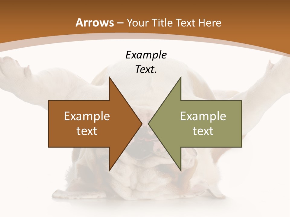 Months Looking Mammal PowerPoint Template