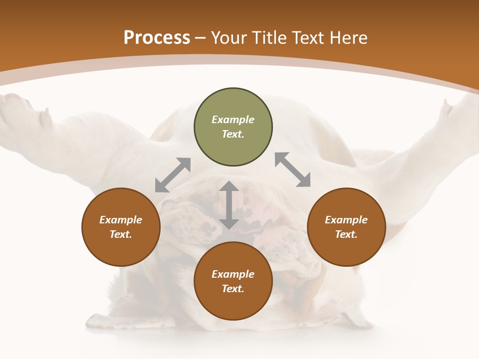 Months Looking Mammal PowerPoint Template