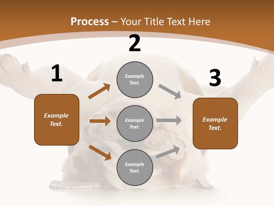 Months Looking Mammal PowerPoint Template