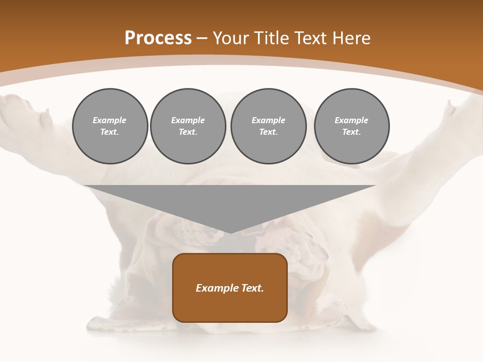 Months Looking Mammal PowerPoint Template