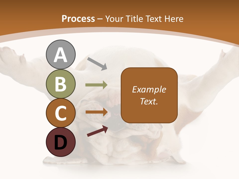 Months Looking Mammal PowerPoint Template