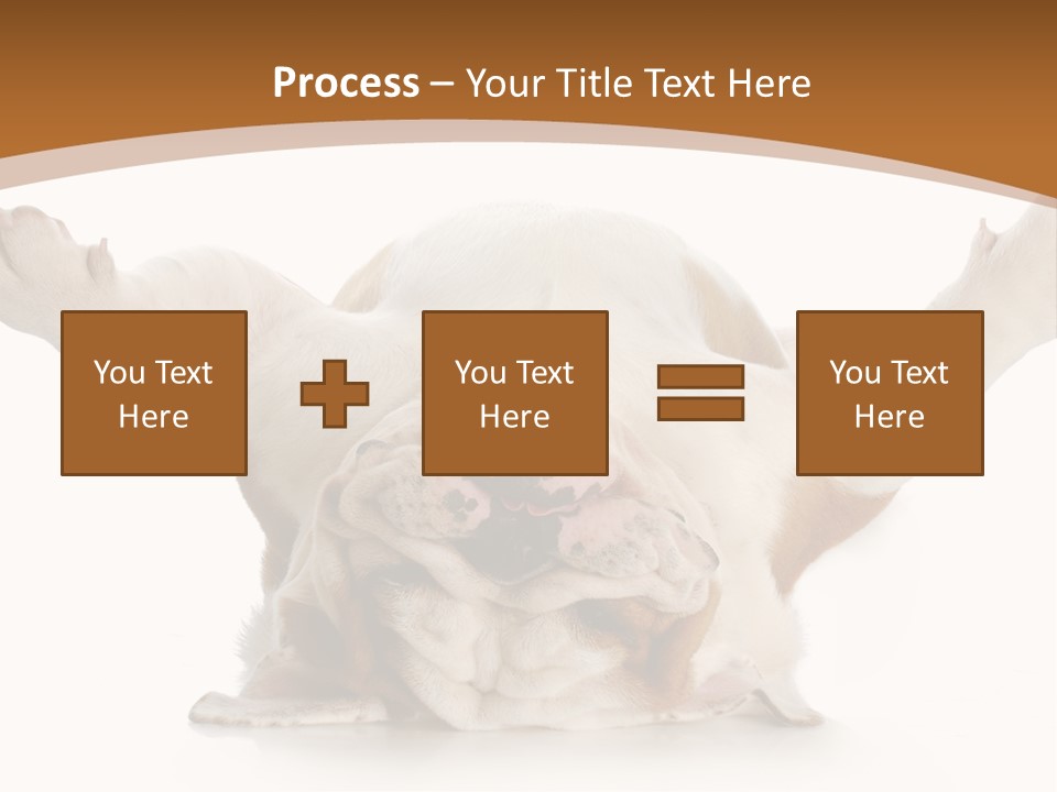 Months Looking Mammal PowerPoint Template