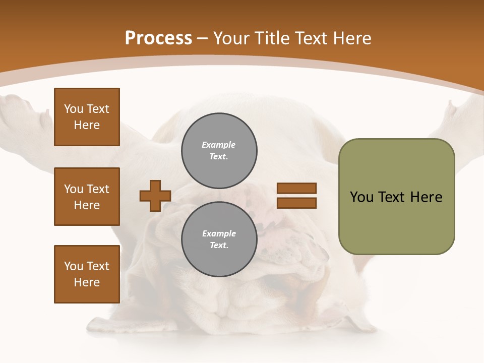 Months Looking Mammal PowerPoint Template