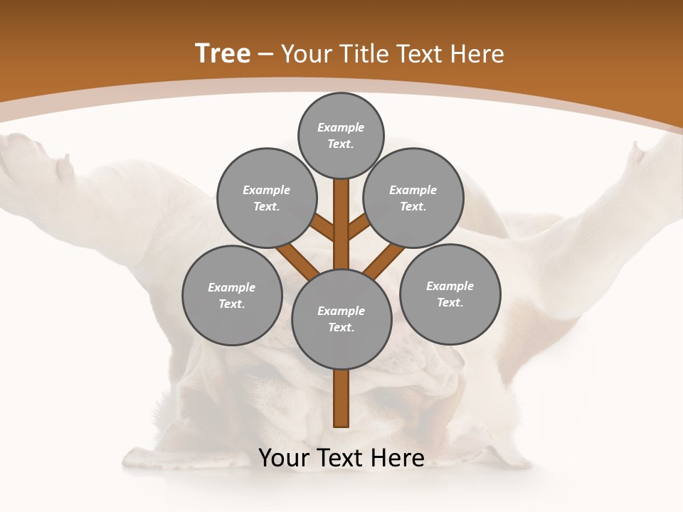 Months Looking Mammal PowerPoint Template