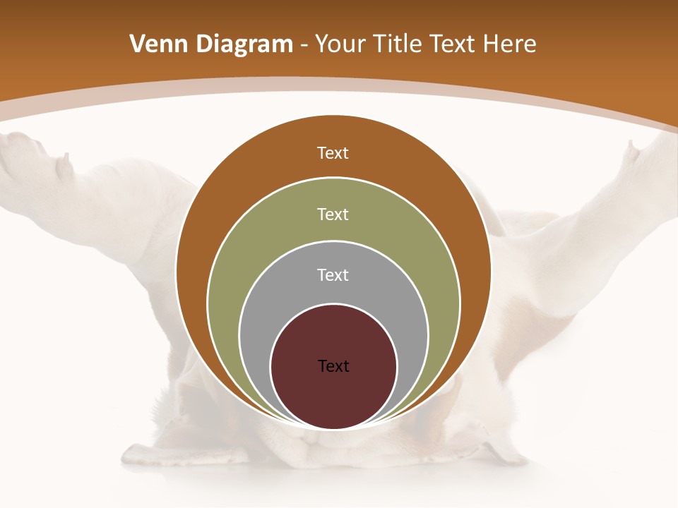 Months Looking Mammal PowerPoint Template