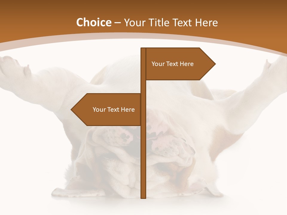 Months Looking Mammal PowerPoint Template