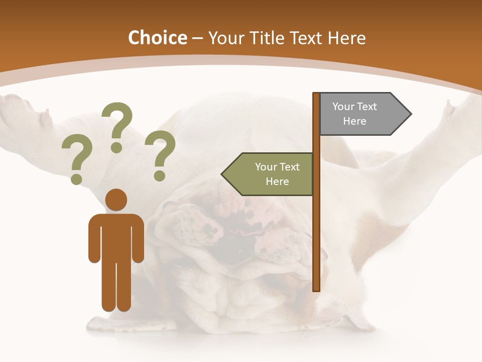 Months Looking Mammal PowerPoint Template