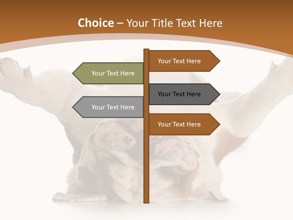 Months Looking Mammal PowerPoint Template