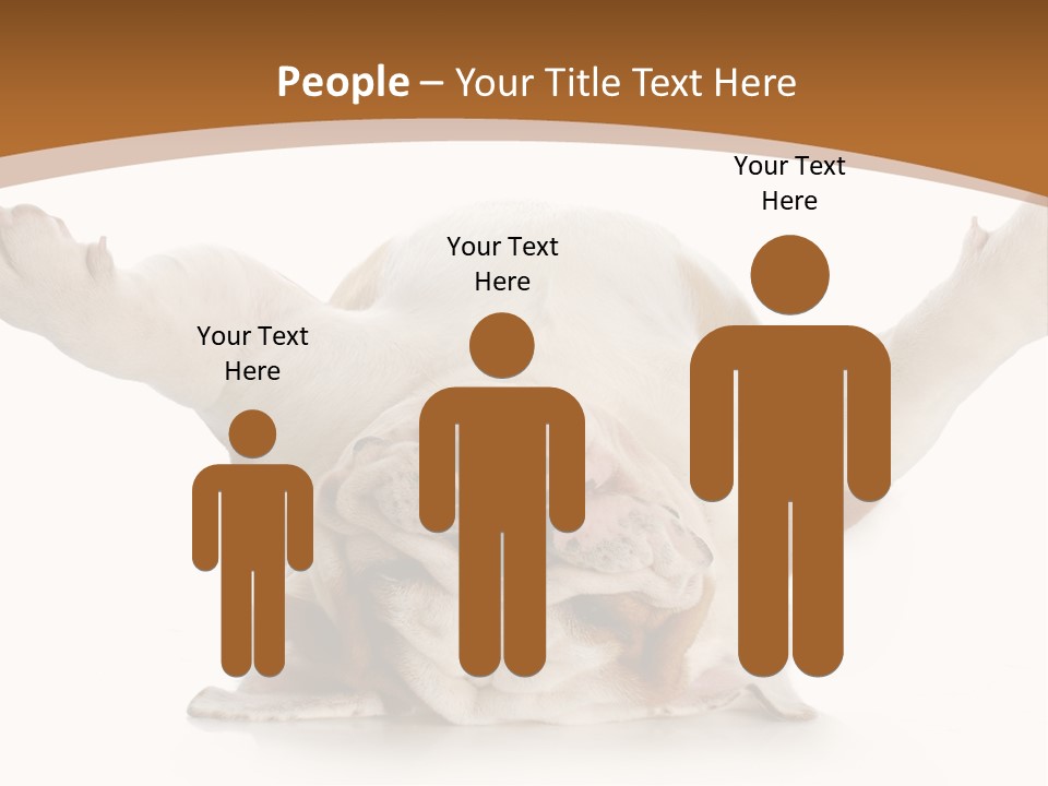 Months Looking Mammal PowerPoint Template