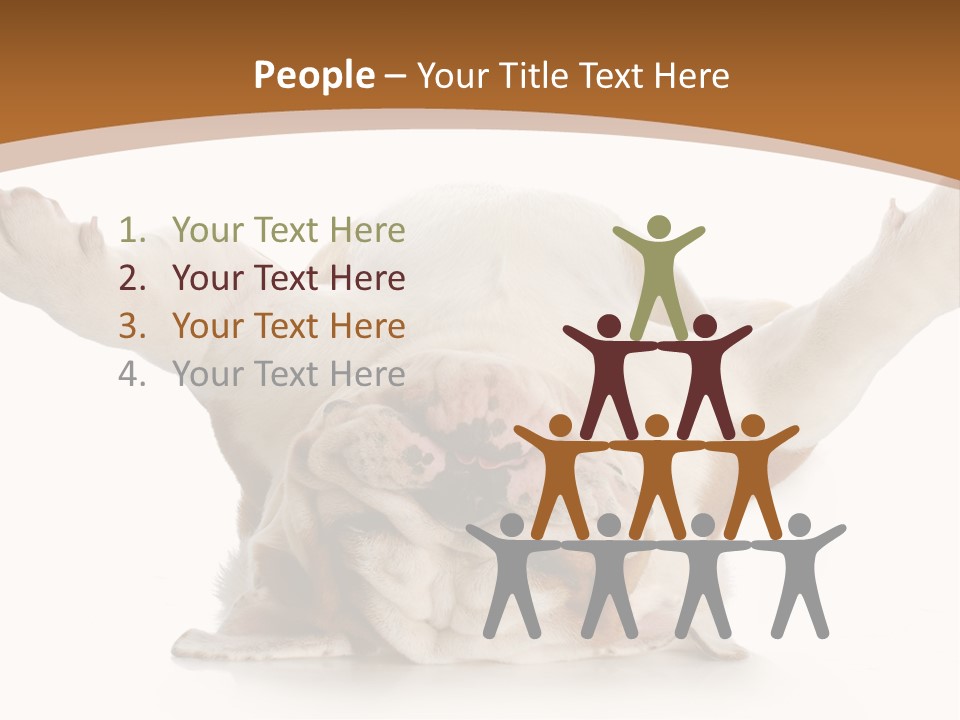 Months Looking Mammal PowerPoint Template