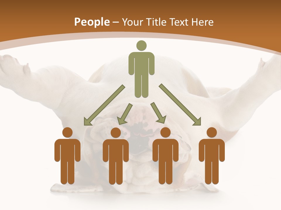 Months Looking Mammal PowerPoint Template