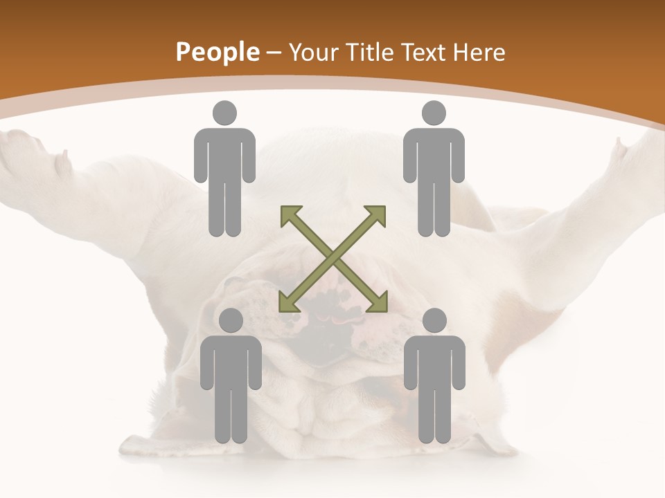 Months Looking Mammal PowerPoint Template
