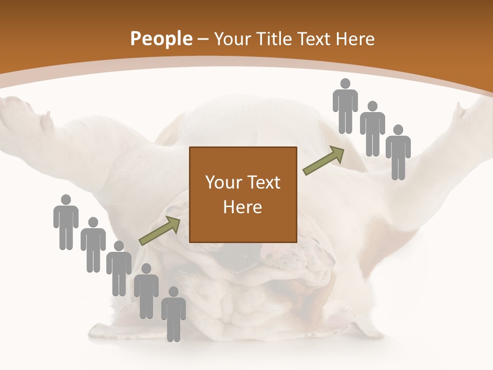 Months Looking Mammal PowerPoint Template