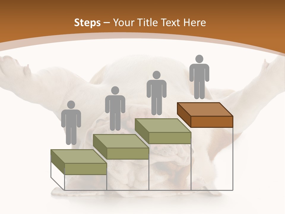 Months Looking Mammal PowerPoint Template