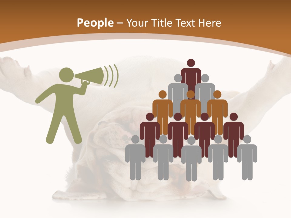 Months Looking Mammal PowerPoint Template