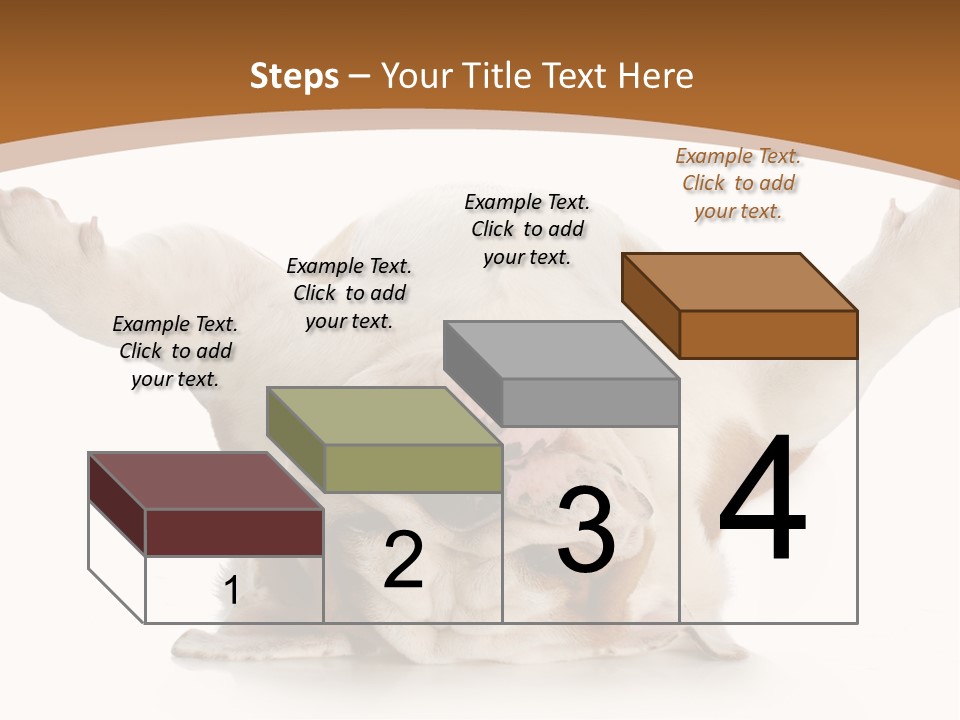 Months Looking Mammal PowerPoint Template