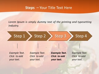 Sandwich Parsley Tomato PowerPoint Template