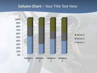 Damage Aviation Plane PowerPoint Template