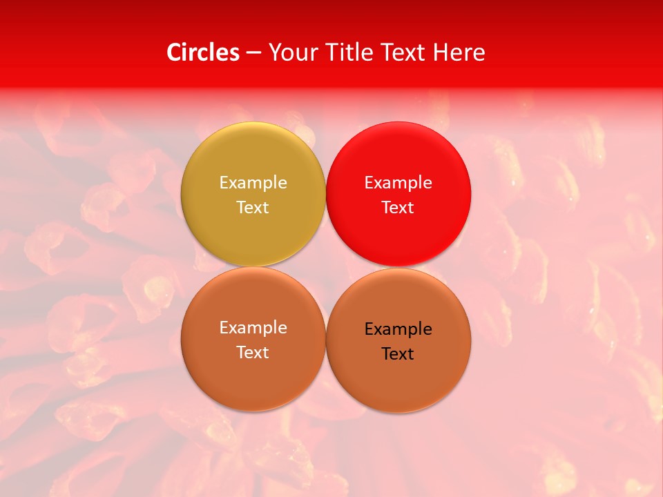 Fresh Macro Spring PowerPoint Template