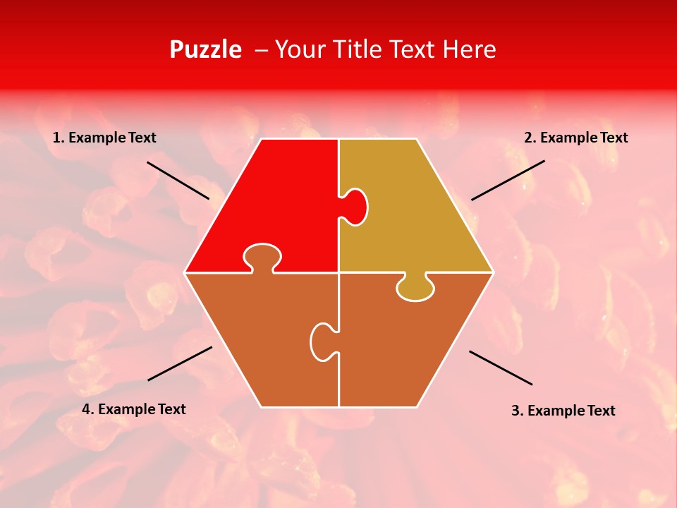 Fresh Macro Spring PowerPoint Template