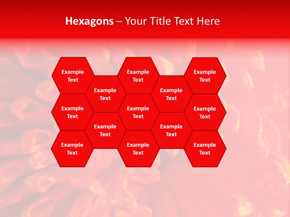 Fresh Macro Spring PowerPoint Template