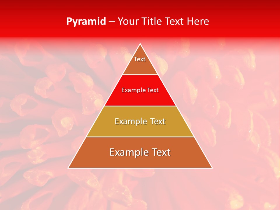 Fresh Macro Spring PowerPoint Template