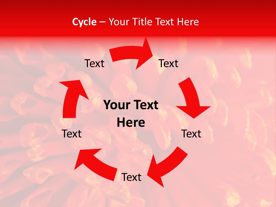 Fresh Macro Spring PowerPoint Template