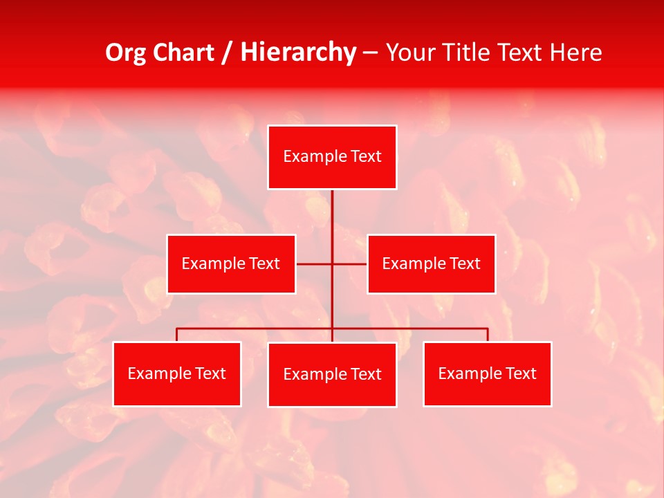 Fresh Macro Spring PowerPoint Template