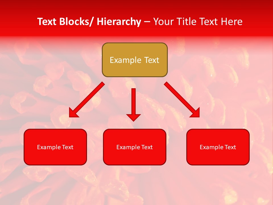 Fresh Macro Spring PowerPoint Template