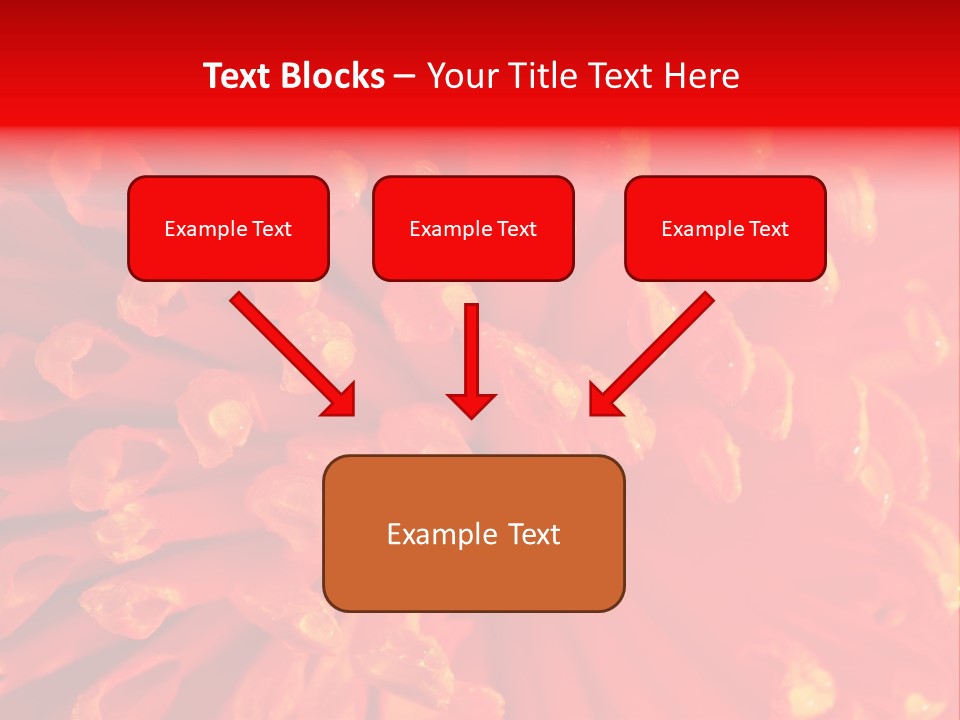 Fresh Macro Spring PowerPoint Template