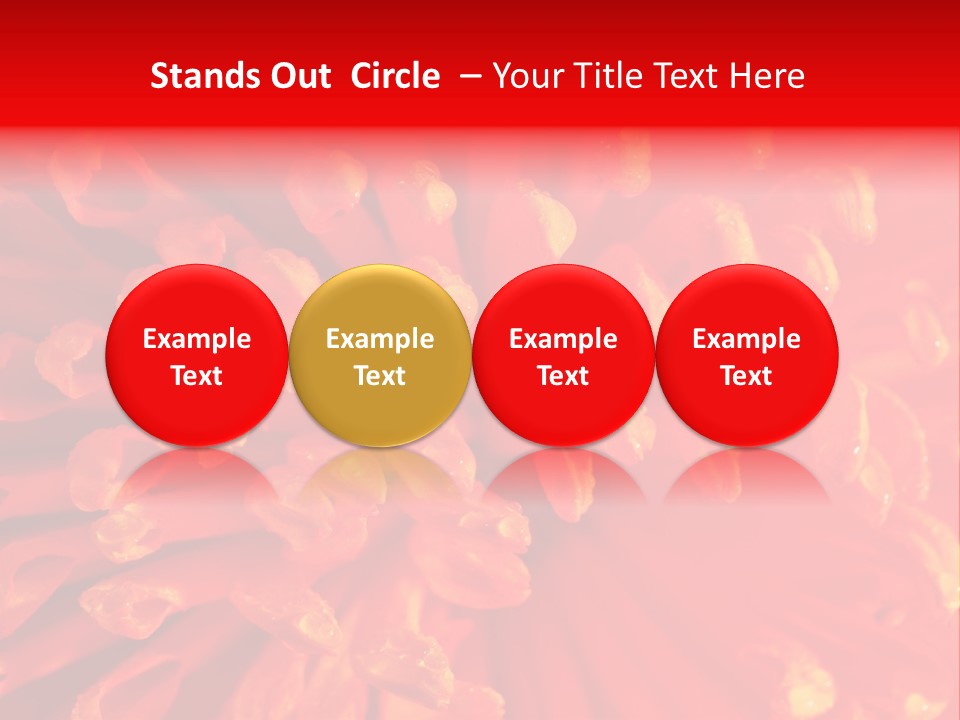 Fresh Macro Spring PowerPoint Template