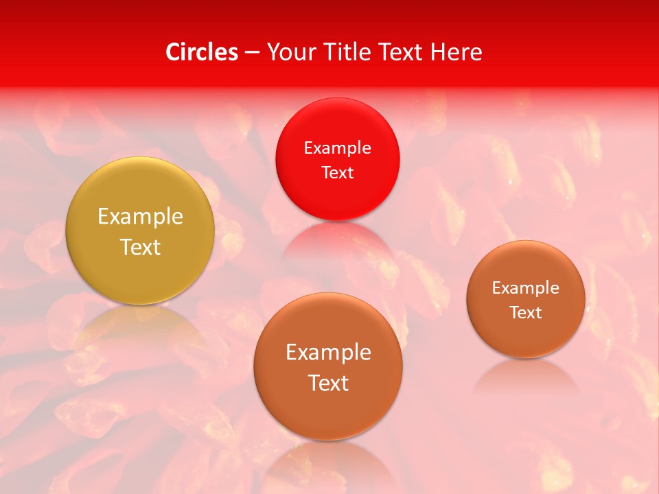 Fresh Macro Spring PowerPoint Template