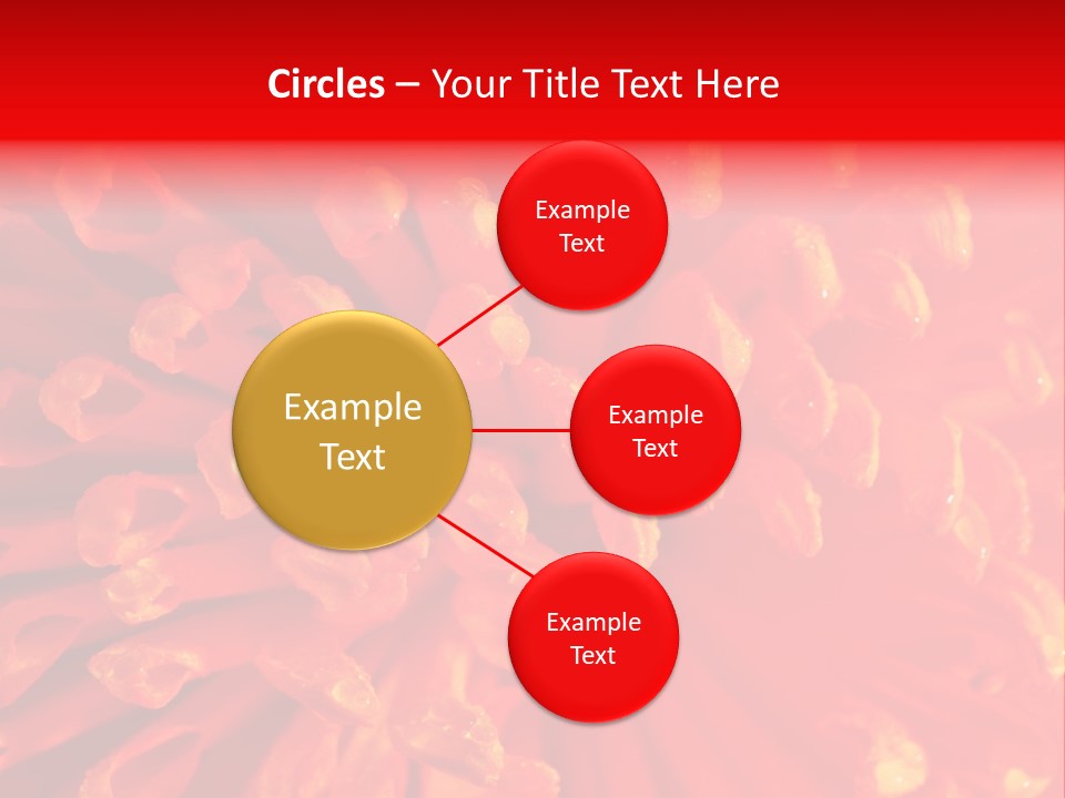 Fresh Macro Spring PowerPoint Template