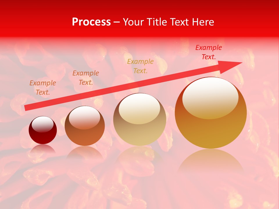 Fresh Macro Spring PowerPoint Template