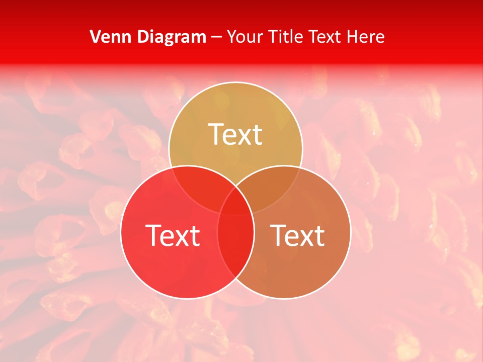 Fresh Macro Spring PowerPoint Template