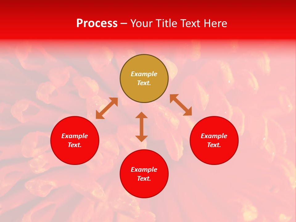 Fresh Macro Spring PowerPoint Template