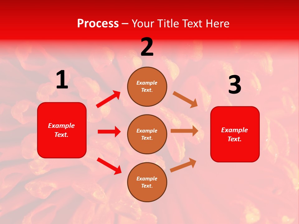 Fresh Macro Spring PowerPoint Template